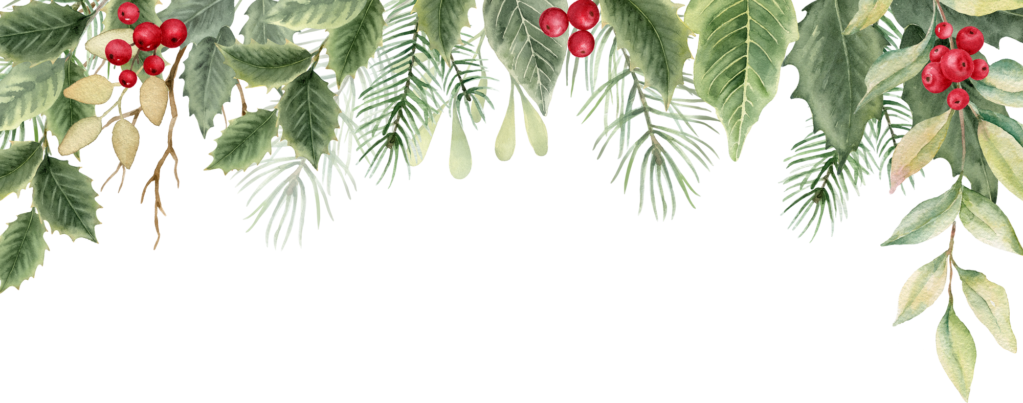 Christmas floral border with poinsettia,holly berries,leaves