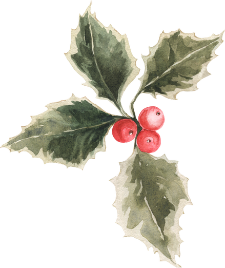 Festive Watercolor Christmas New Year Tree Winter Evergreen Leaf